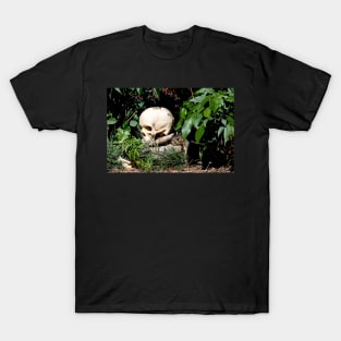 Yorick and friend T-Shirt